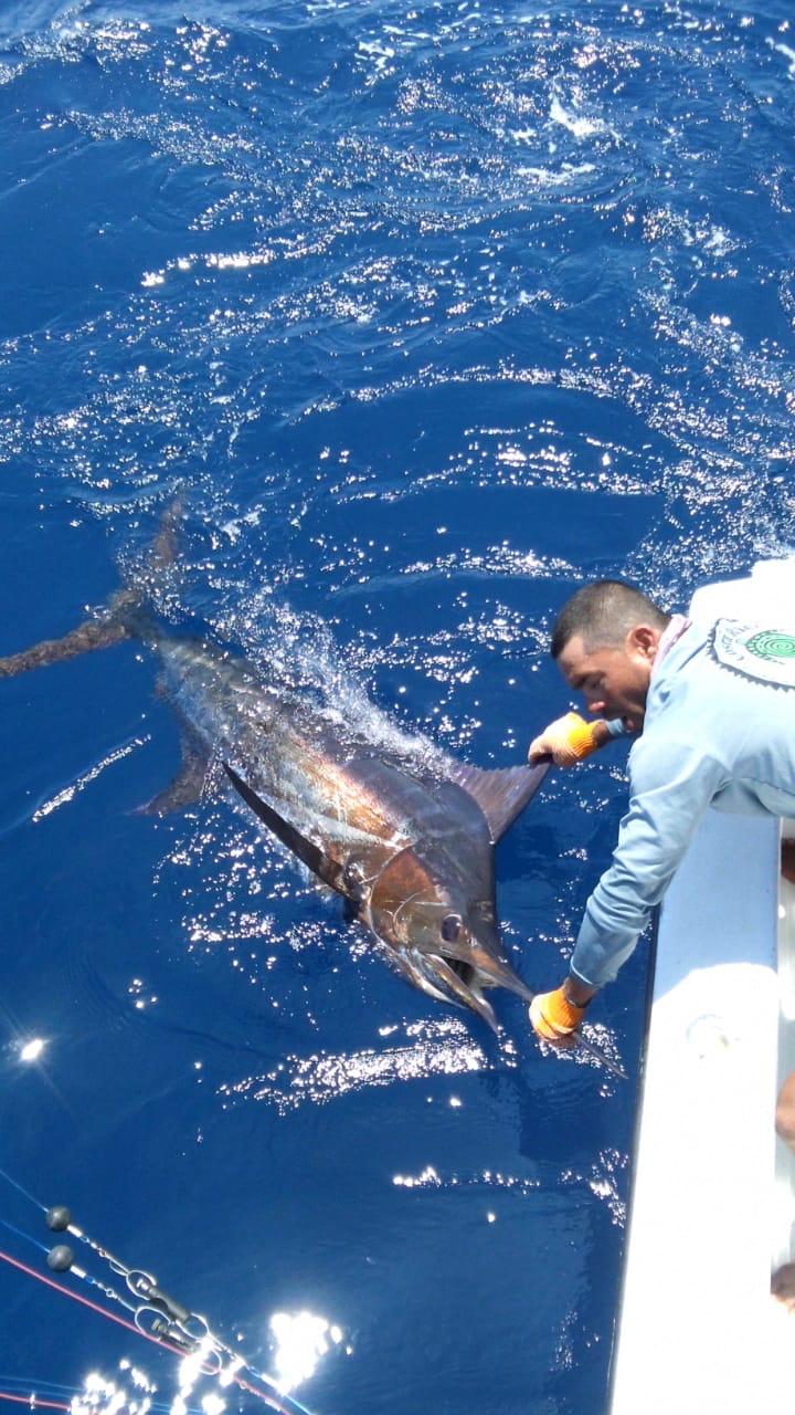 Sport Fishing from Marina Pez Vela, Quepos Costa Rica